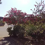 乔治海滩一室公寓酒店 Pefki
