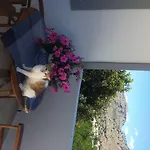 乔治海滩一室公寓酒店 公寓