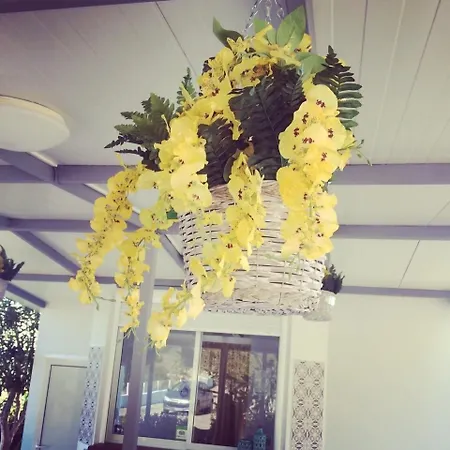 公寓 乔治海滩一室公寓酒店