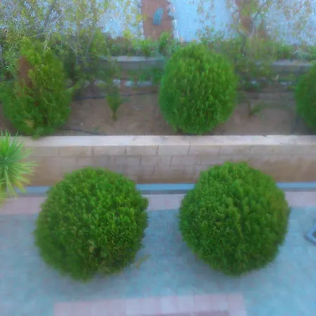 乔治海滩一室公寓酒店 公寓 *