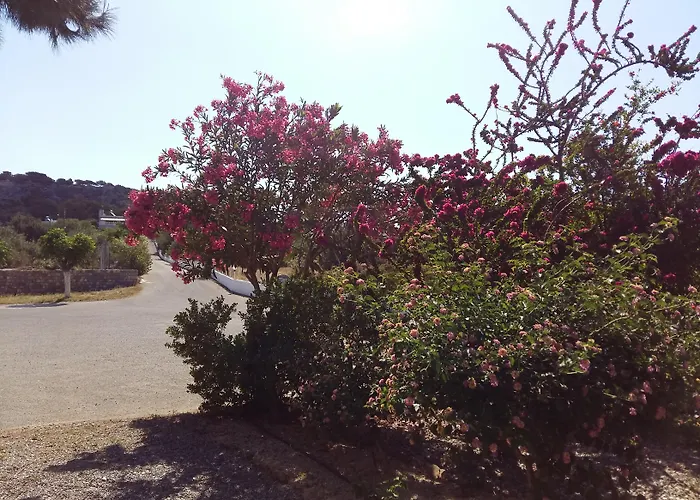 George Pefki (Rhodes)